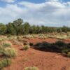 .41 Acres For Sale - Apache County, AZ - Green Valley Farms - Near St. Johns - Image 4